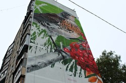 Скоро вулиці заграють новими барвами: у Харкові стартував «Mural Fest 2017»