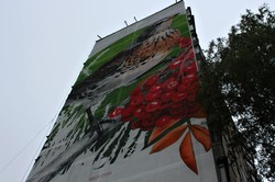 Скоро вулиці заграють новими барвами: у Харкові стартував «Mural Fest 2017»