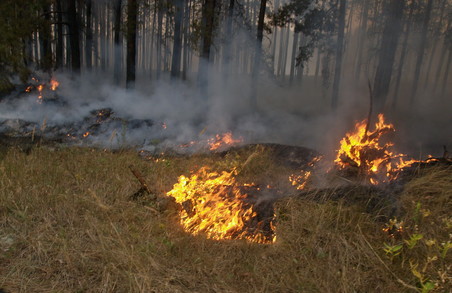 Харківські рятувальники ліквідували 16 пожеж в екосистемах