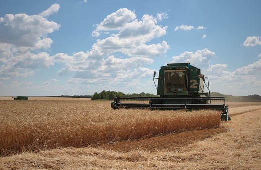Українські аграрії завойовують світові ринки