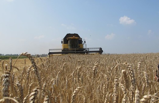 Харківщина зібрала перший мільйон тонн зернових - Світлична