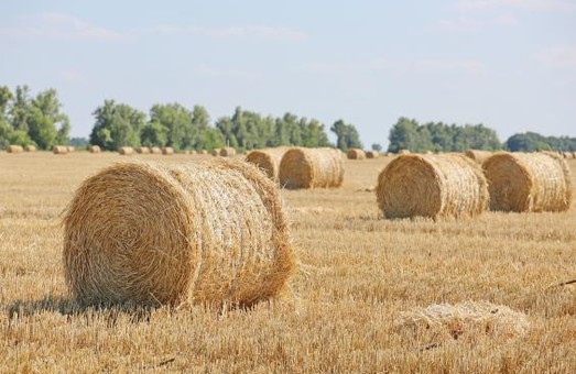 Врожайність на Харківщині б`є рекорди: аграрії зібрали 2 мільйони тонн зерна