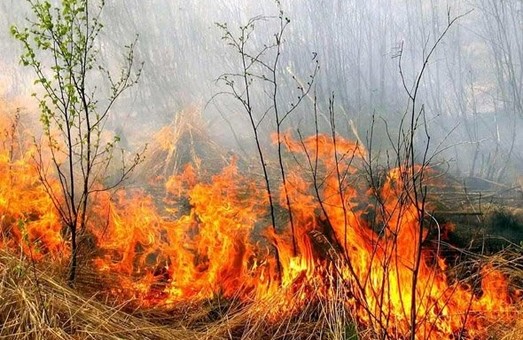 Рятувальниками було ліквідовано 28 пожеж в екосистемах