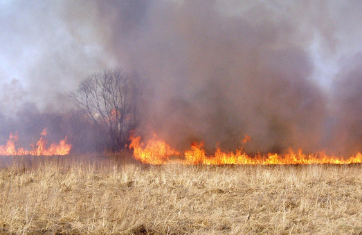 У Харківській області зберігається висока пожежна небезпека