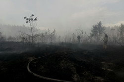 Харківськими рятувальниками було ліквідовано 34 пожежі в екосистемах