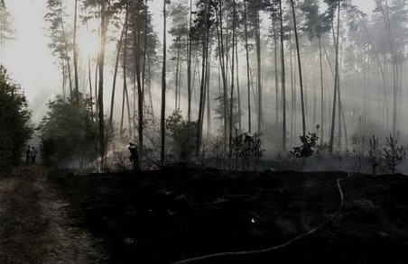 Харківськими рятувальниками було ліквідовано 34 пожежі в екосистемах