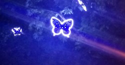 Квіти, метелики та зайчики: в Харкові з’явилася інсталяція, що світиться