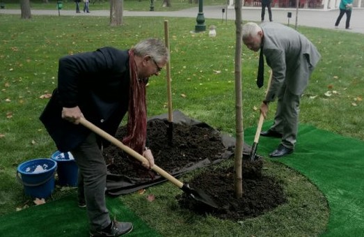 Данський посол посадив дерево дружби у Харкові