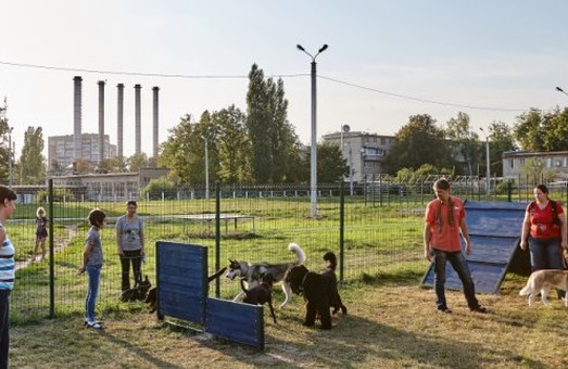 Харківським собакам вже є, де гуляти
