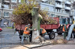 В Харкові стане на дві тисячі дерев більше
