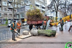 В Харкові стане на дві тисячі дерев більше