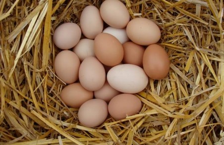 Експерт назвав максимальну ціну подорожчання курячих яєць
