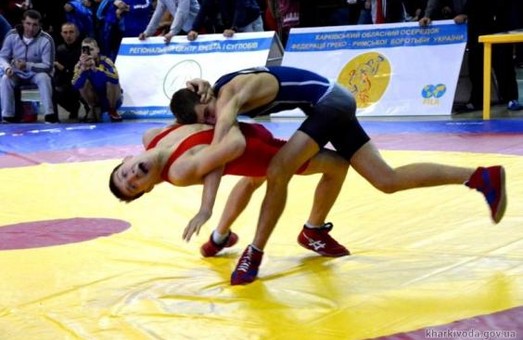 Харківські юніори здобули медалі на змаганнях з греко-римської боротьби