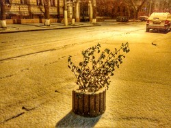 Справжня зима прийшла до Одеси: фоторепортаж