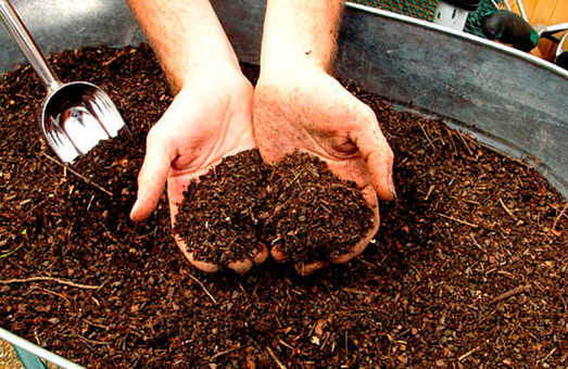 Харківські школи можуть почати виготовляти компост