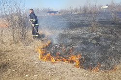 Харківськими рятувальниками було ліквідовано 71 пожежу у природних екосистемах