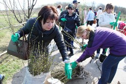 Сьогодні на Харківщині мать ліквідувати 700 звалищ і висадити 20 тисяч дерев