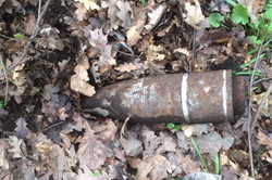 В лісі Харківщини знайшли боєприпаси