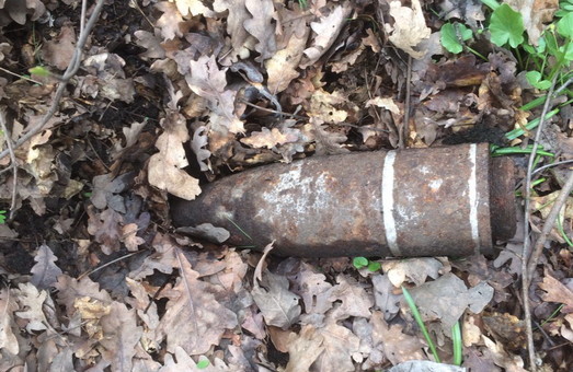 В лісі Харківщини знайшли боєприпаси