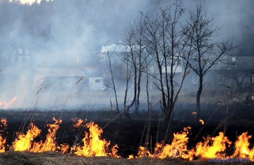 Протягом однієї доби сталося 13 пожеж в екосистемах Харківщини
