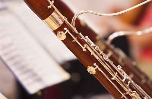 «Мало сольні» інструменти прозвучать на концерті Молодіжного академічного симфонічного оркестру «Слобожанський»