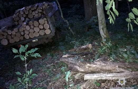 На Харківщині знов незаконно вирубували дерева