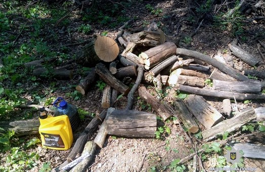 На Харківщині чоловік нарубав дерев майже на 66 тисяч гривень