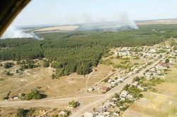 На Харківщині загорілося лісове господарство (фото)