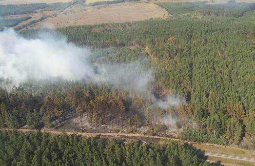 На Харківщині загорілося лісове господарство (фото)