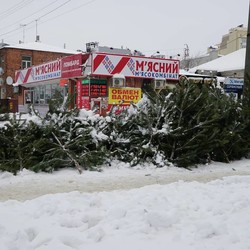 На Харківщині борються з незаконною торгівлею ялинками