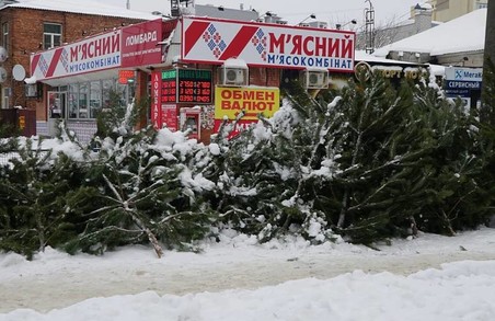 На Харківщині борються з незаконною торгівлею ялинками