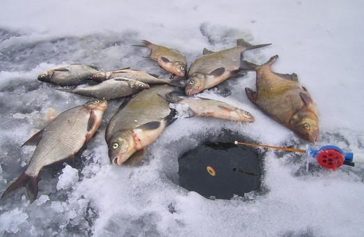 Харків‘янам радять відмовитися від зимової риболовлі