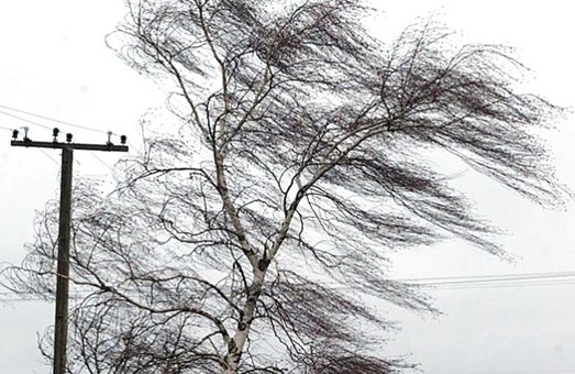 Харків‘ян попередили про сильні пориви вітру