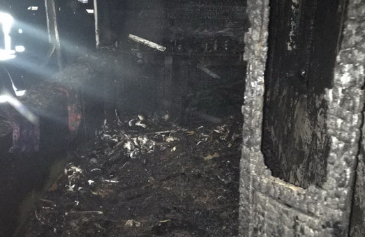 На Харківщині в приватному домоволодінні вибухнула граната