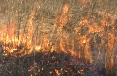 Випалювання трави та сміття призвело до 30 пожеж на Харківщині