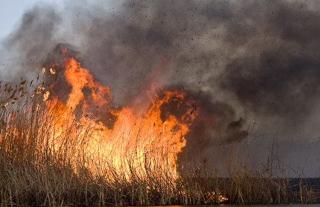 Випалювання сухої трави на Харківщині призвело до 83 пожеж