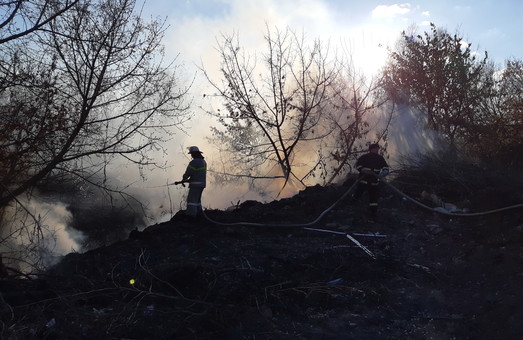 На Харківщині внаслідок випалювання сухостою сталося