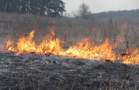 На Харківщині сталося 27 пожеж через підпали трави