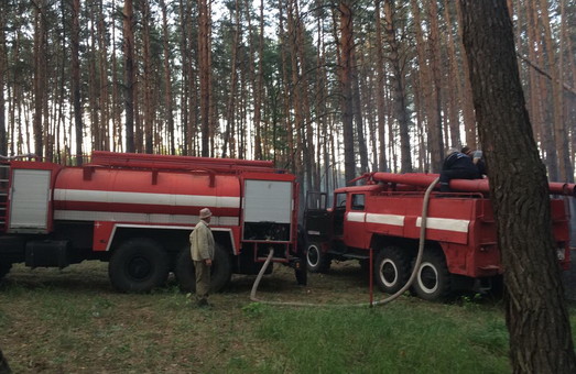 На Харківщині загорівся ліс