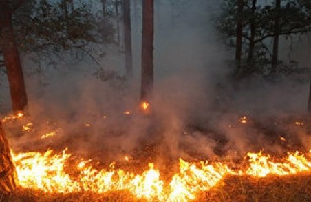 Харків‘ян попередили про пожежну небезпеку