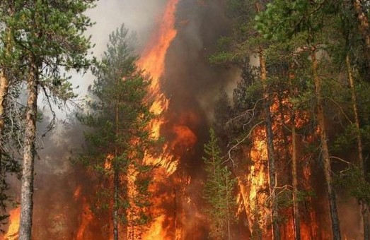 У поточному році в лісах Харківщині сталося 8 пожеж