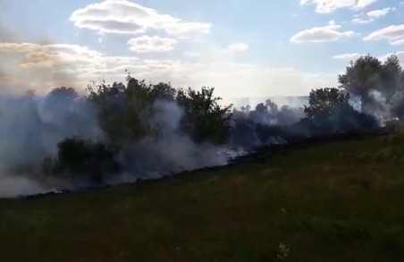 На Харківщині сталося 26 природніх пожеж