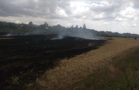 На Харківщині загорілося пшеничне поле