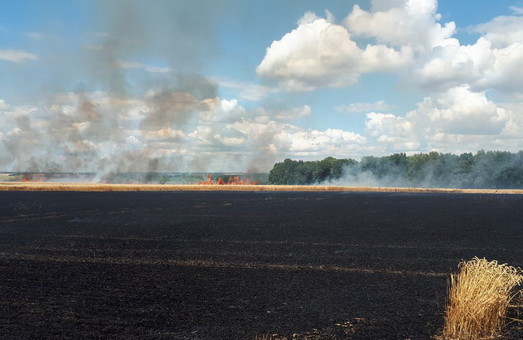 На Харківщині за добу рятувальники ліквідували 22 пожежі та загоряння в природних екосистемах