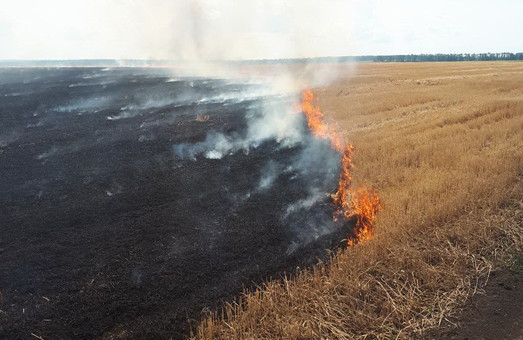 На харківському фермерському господарстві сталася пожежа