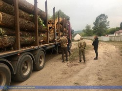 На Харківщині СБУ спіймала «чорних лісорубів» (ФОТО, ВІДЕО)