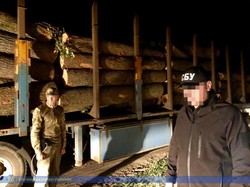 На Харківщині СБУ спіймала «чорних лісорубів» (ФОТО, ВІДЕО)