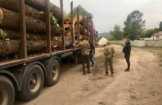 На Харківщині районний суд відмовив в накладенні арешту на вилучене майно лісового господарства