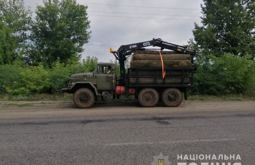 На Харківщині триває незаконна вирубка дерев