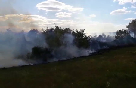 За добу на Харківщині спалахнуло 20 пожеж